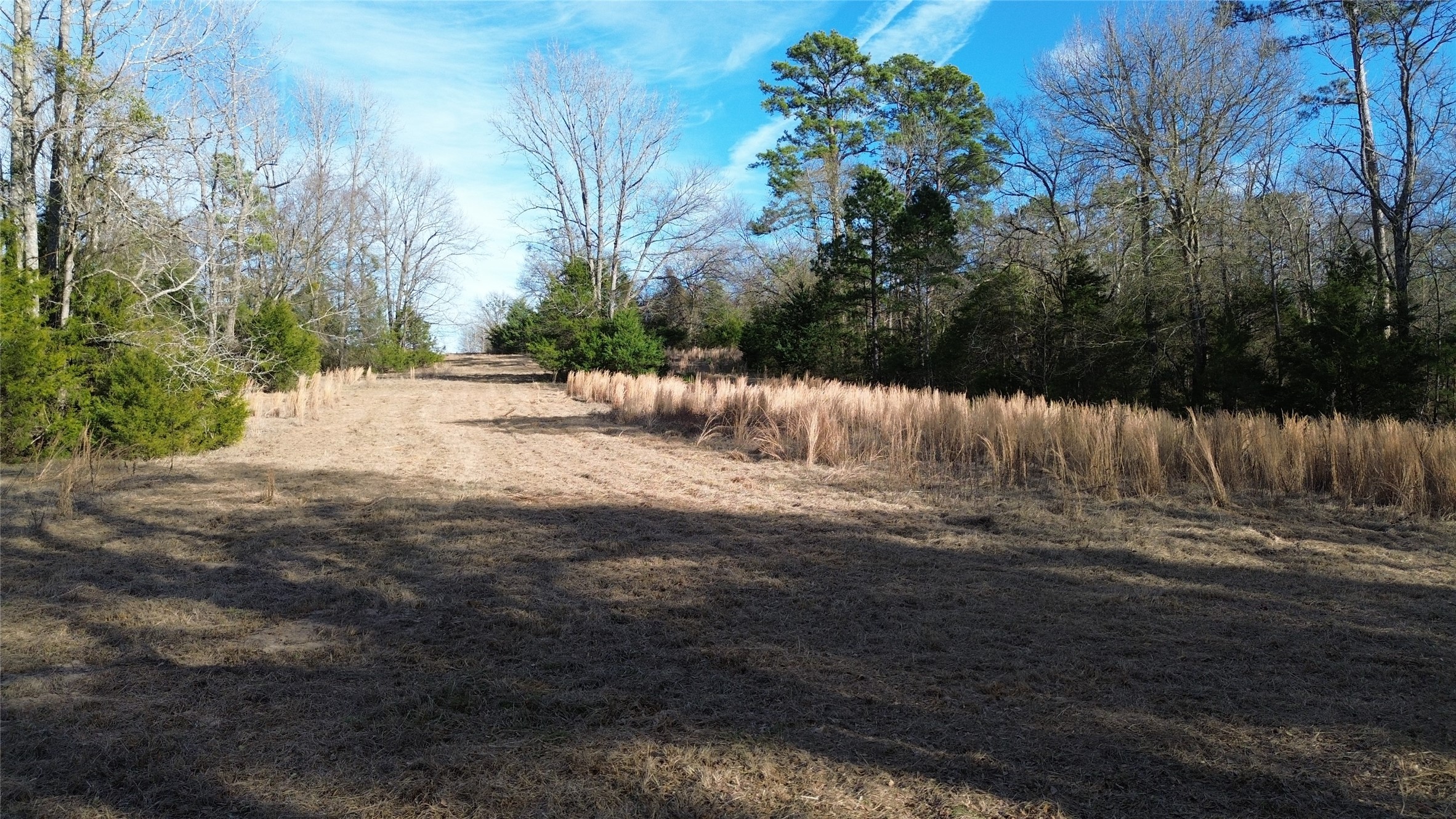 562 County Road 4430 Winnsboro TX 75494