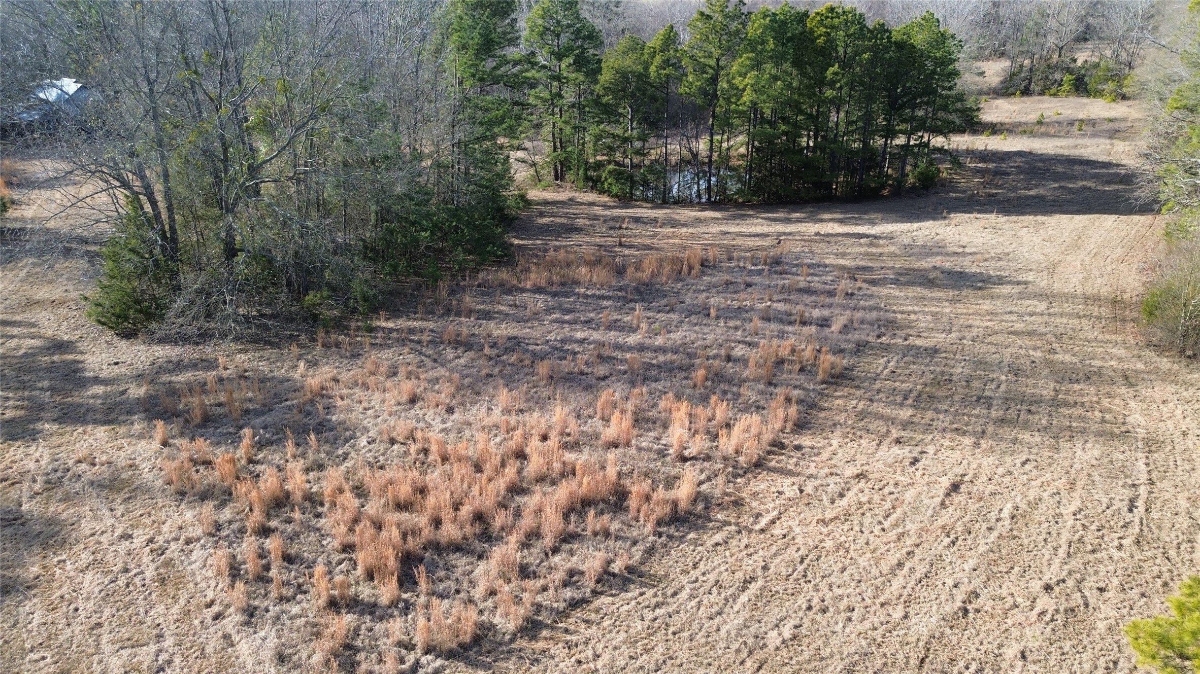 562 County Road 4430 Winnsboro TX 75494