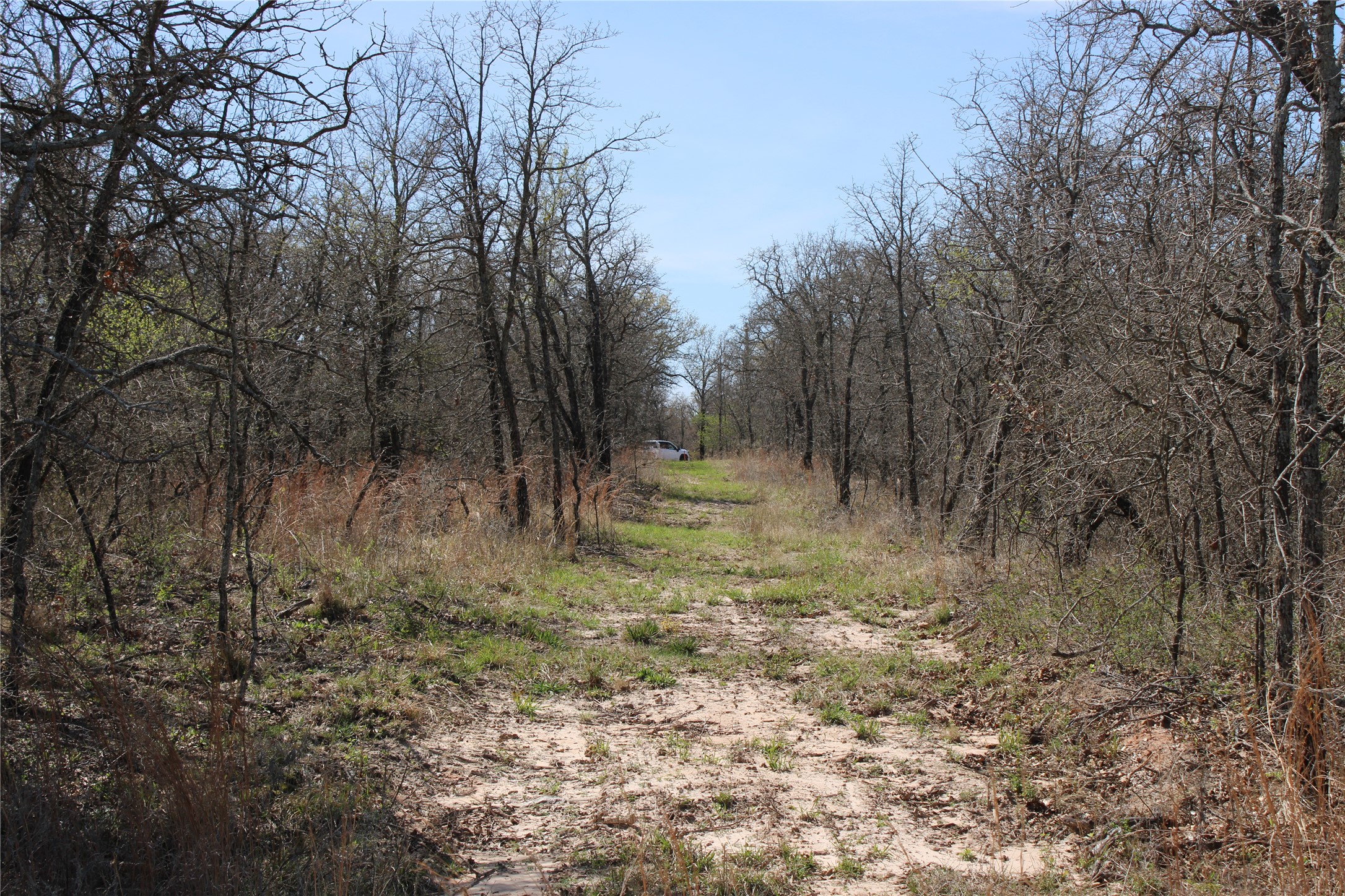 13 Ac N Mason Perrin TX 78486