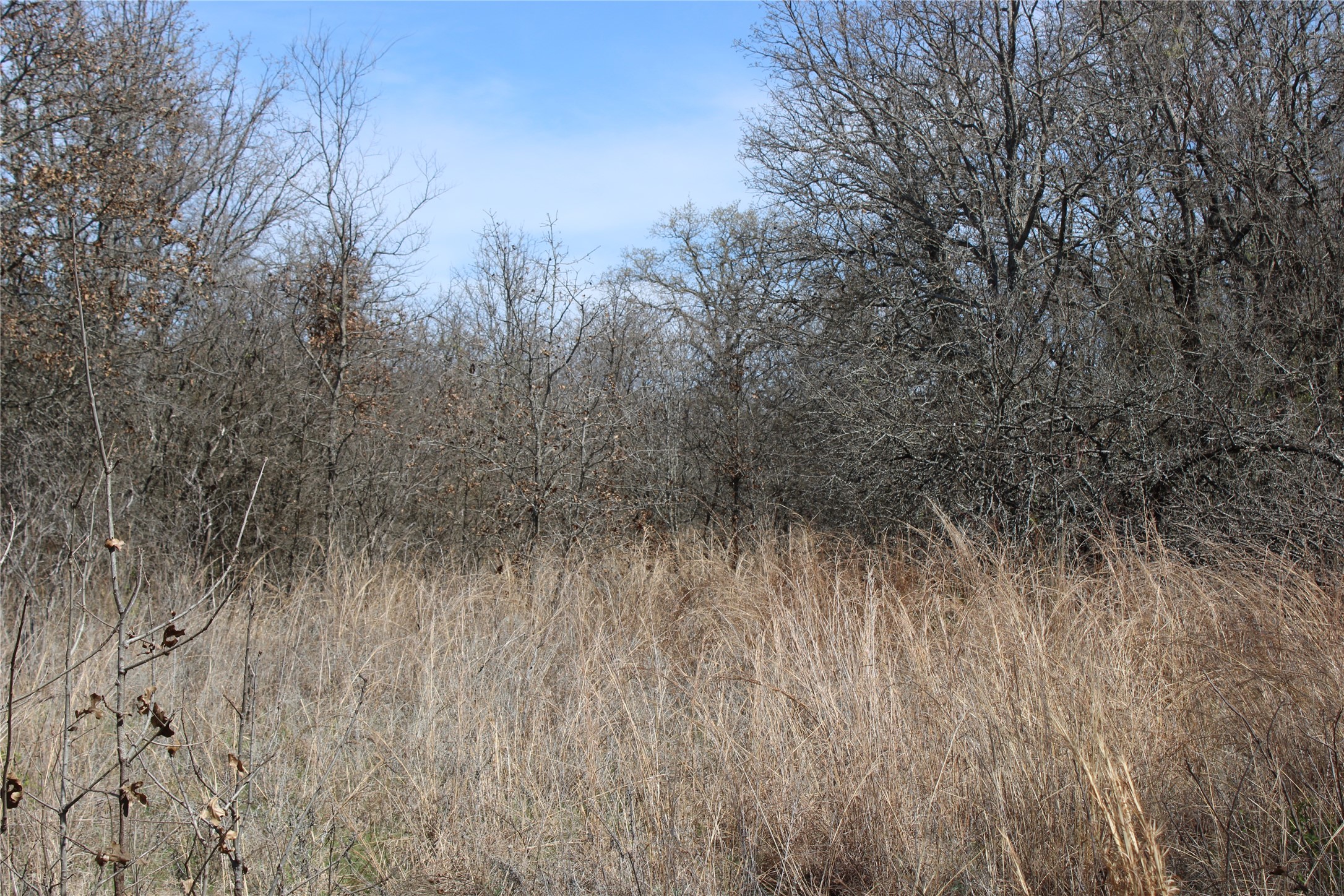 13 Ac N Mason Perrin TX 78486