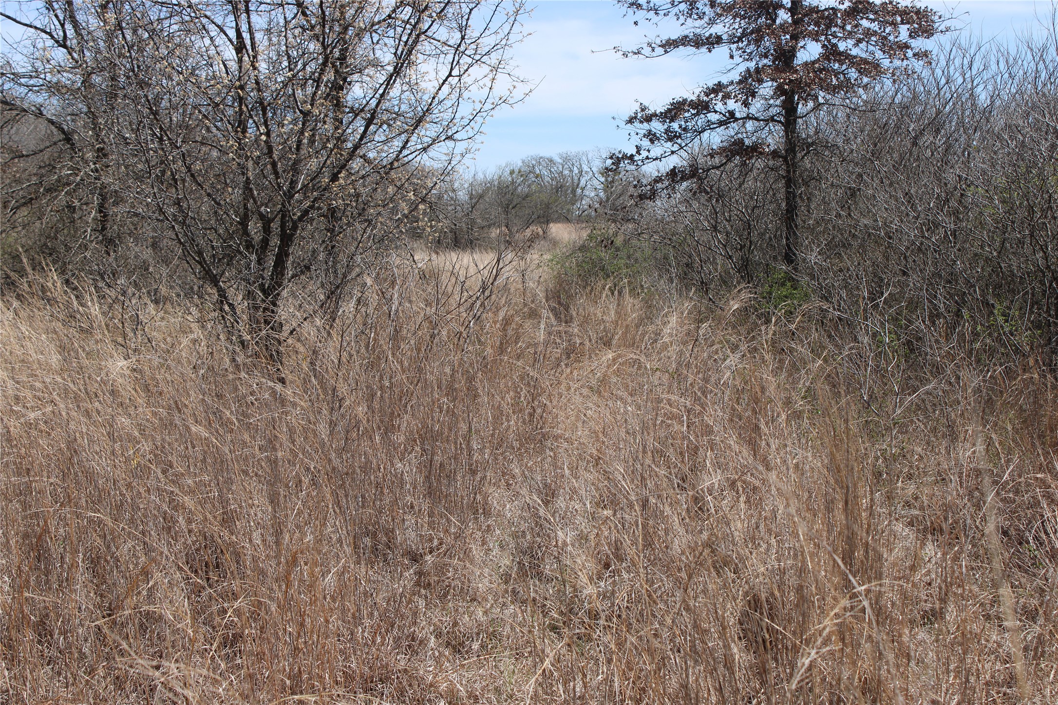13 Ac N Mason Perrin TX 78486