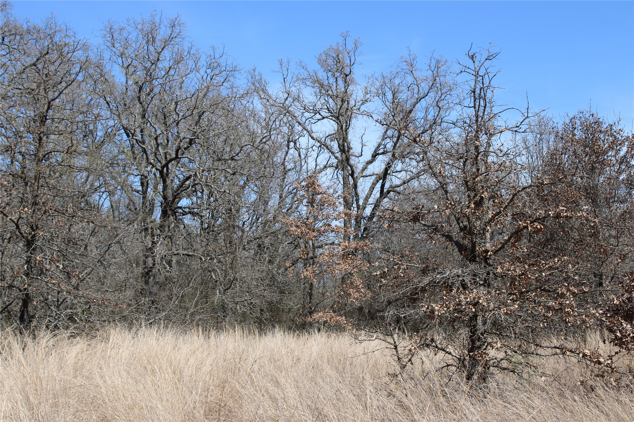 13 Ac N Mason Perrin TX 78486