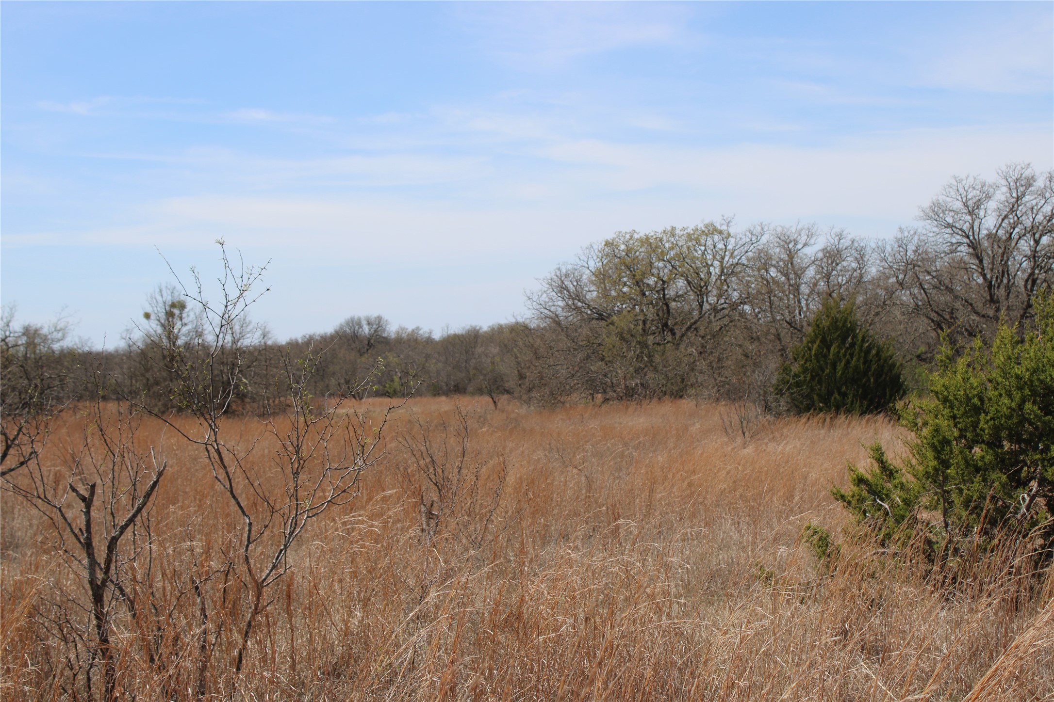 13 Ac N Mason Perrin TX 78486