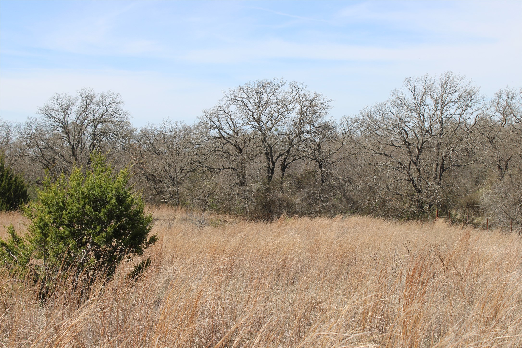 13 Ac N Mason Perrin TX 78486