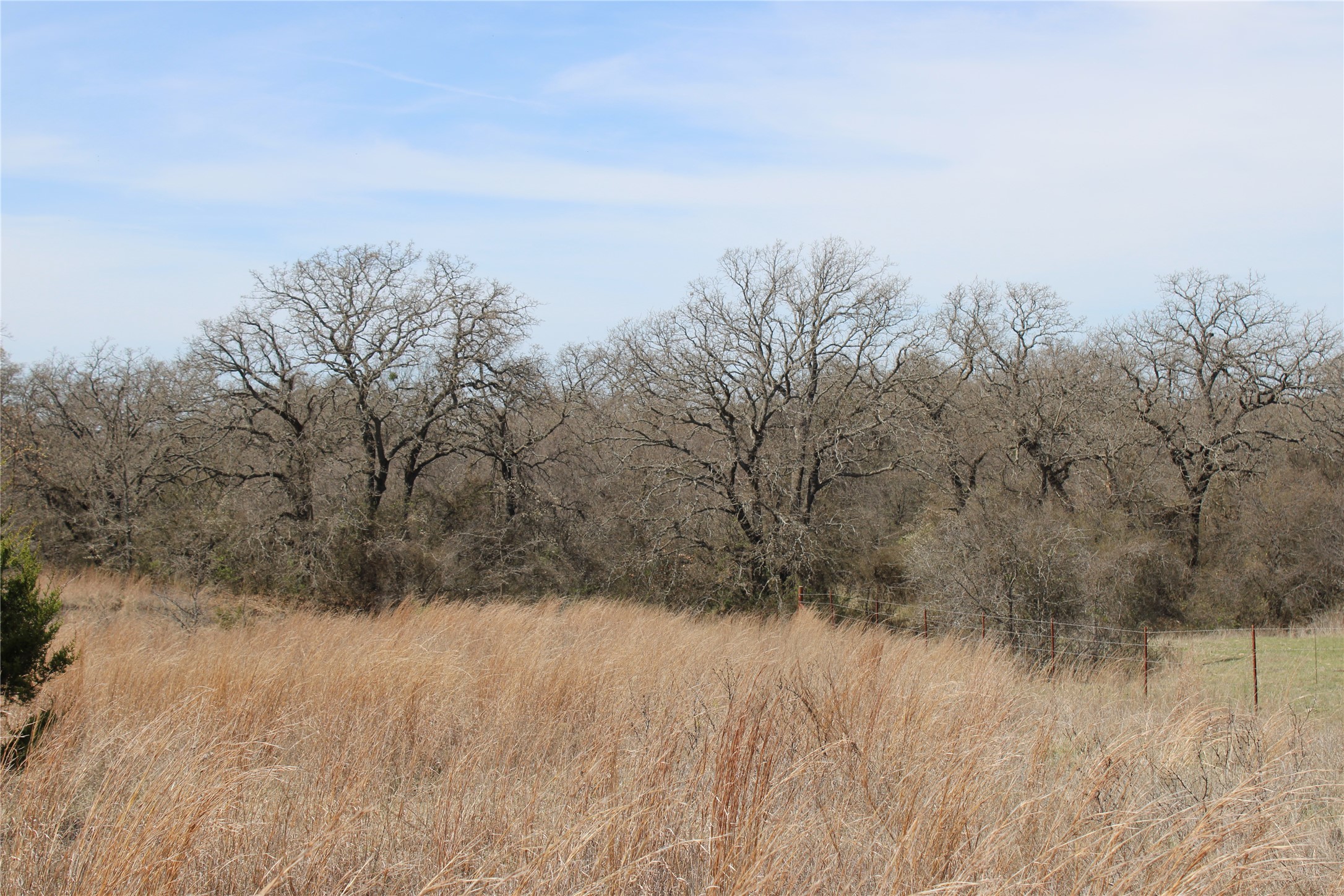 13 Ac N Mason Perrin TX 78486
