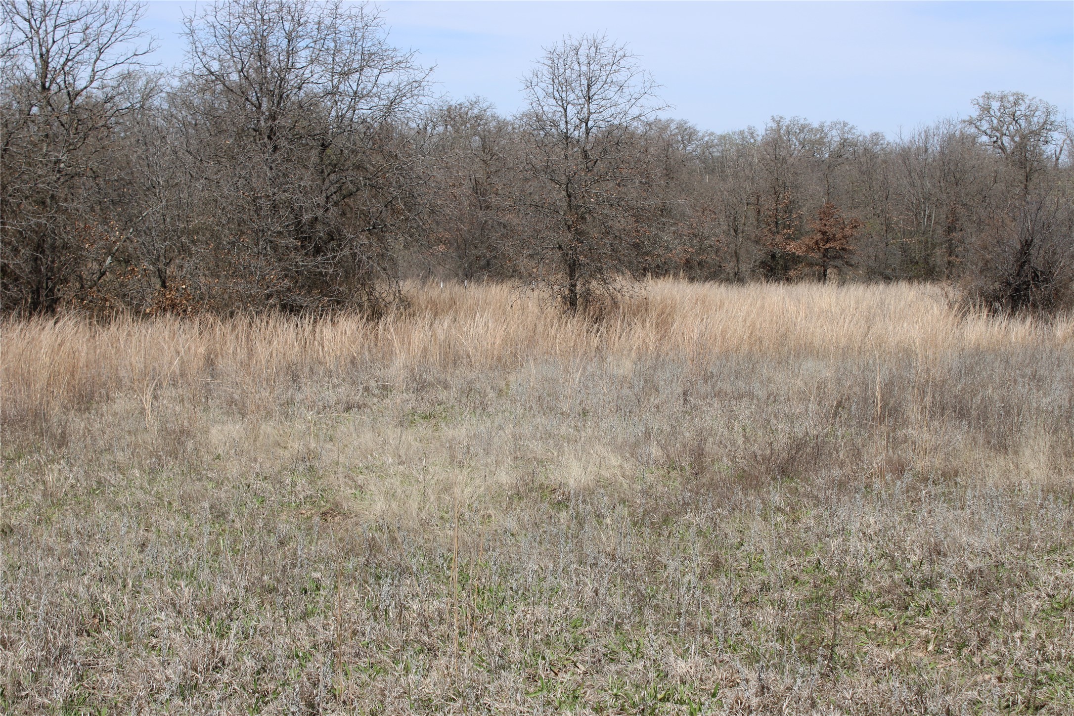 13 Ac N Mason Perrin TX 78486
