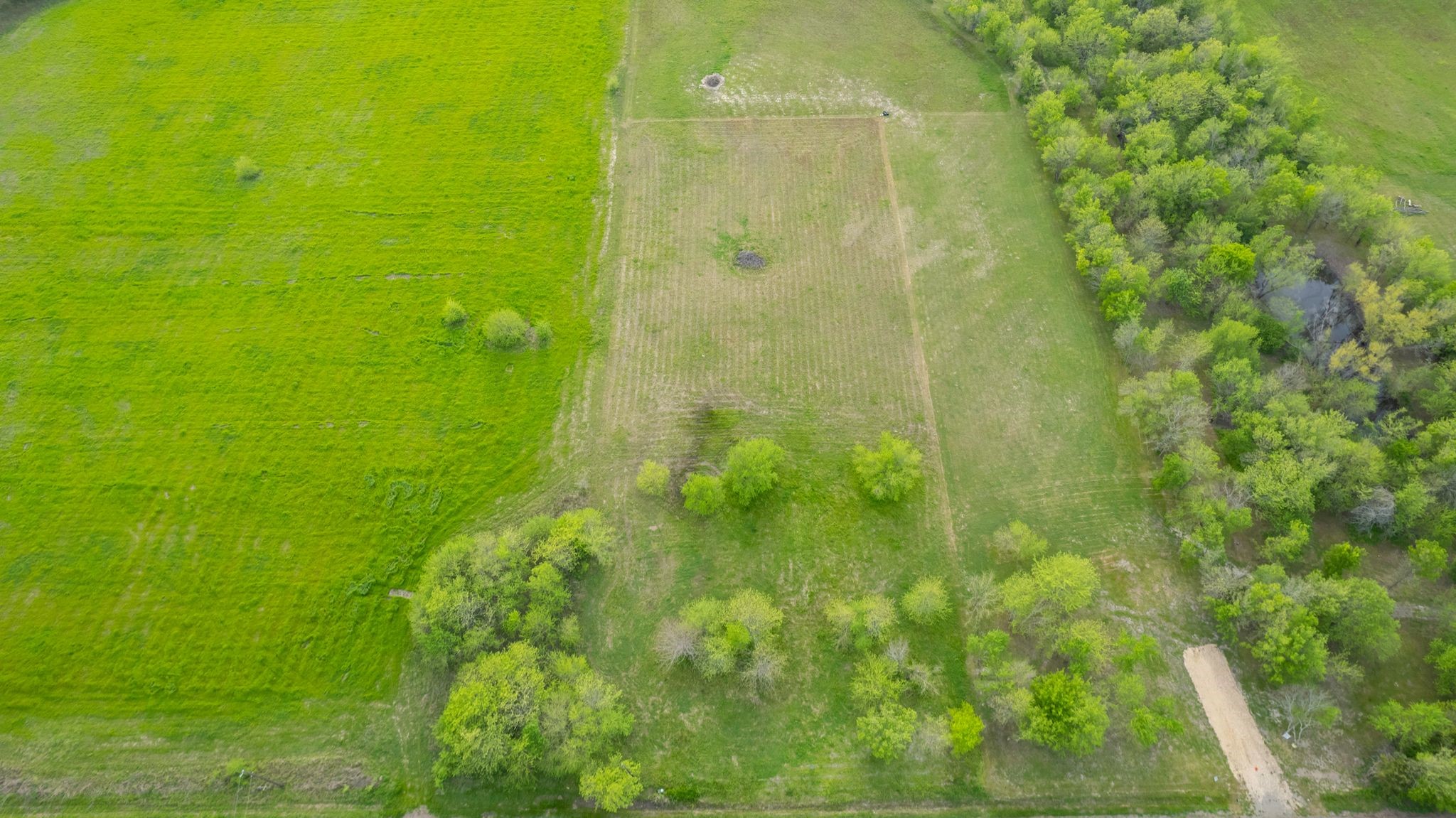4804 County Road 4506 Commerce TX 75428