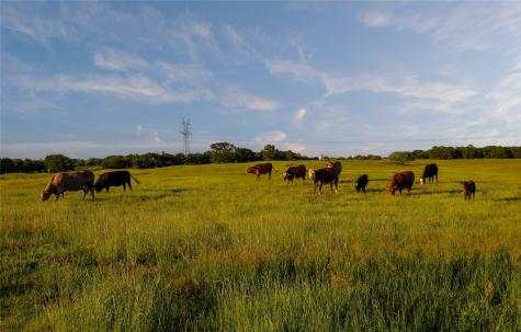 Tbd Fm 920 Poolville TX 76487