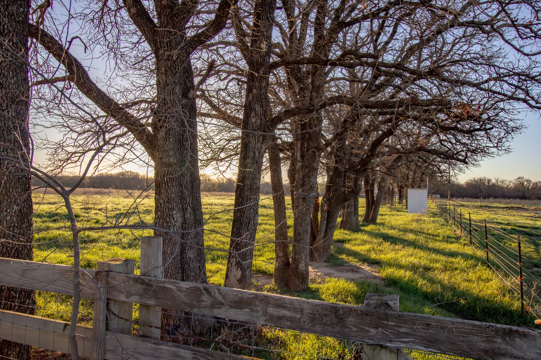 1300 Rodgers Road Rodgers Road Sunset TX 76270