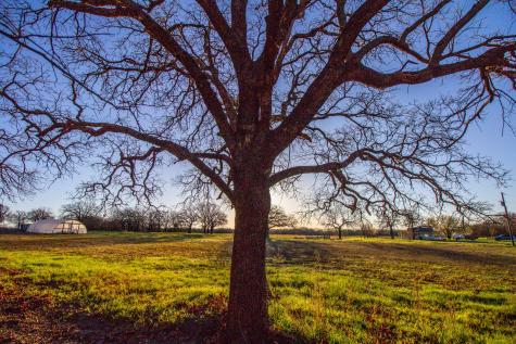 1300 Rodgers Road Rodgers Road Sunset TX 76270