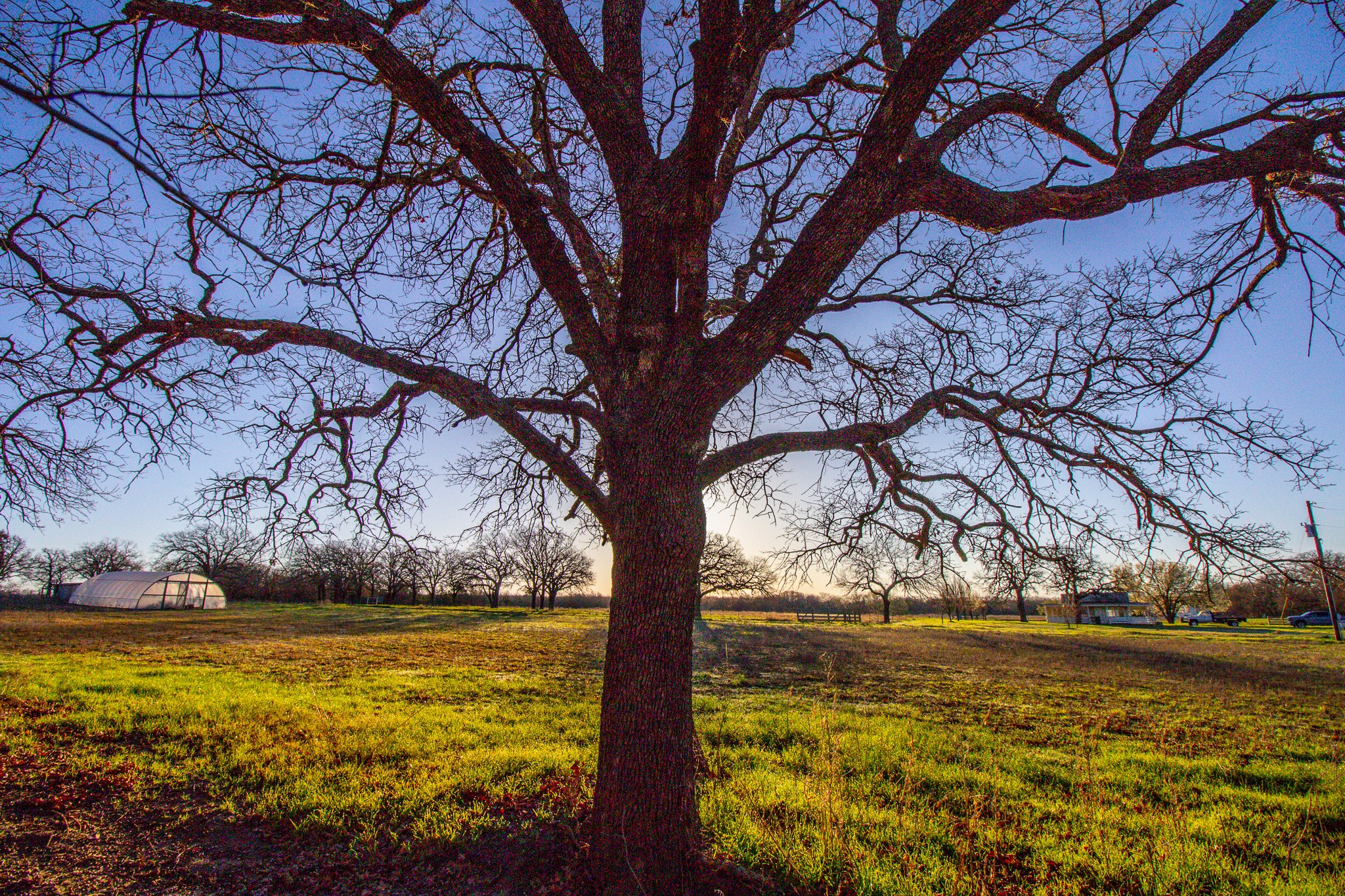 1300 Rodgers Road Rodgers Road Sunset TX 76270