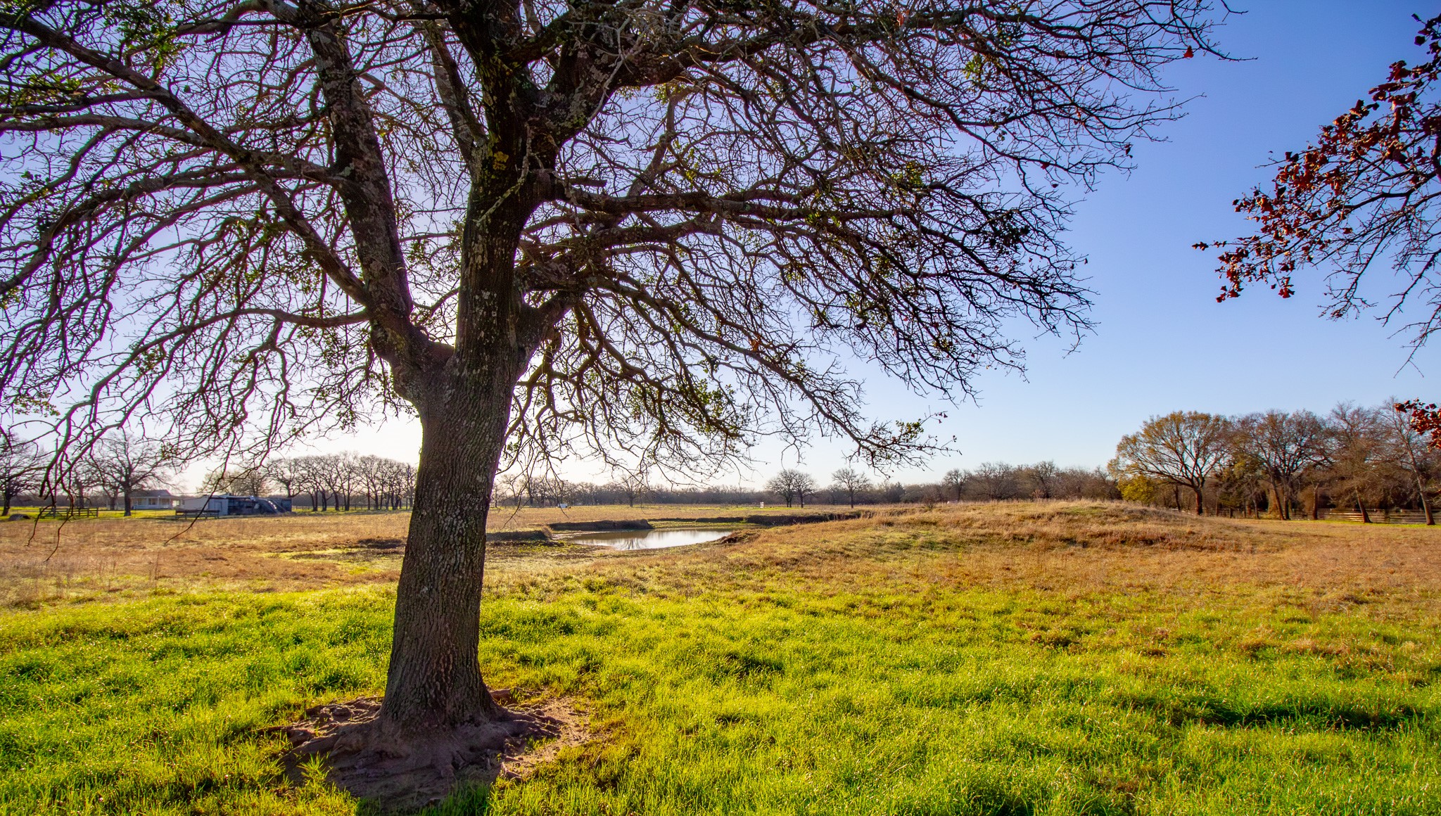 1300 Rodgers Road Rodgers Road Sunset TX 76270