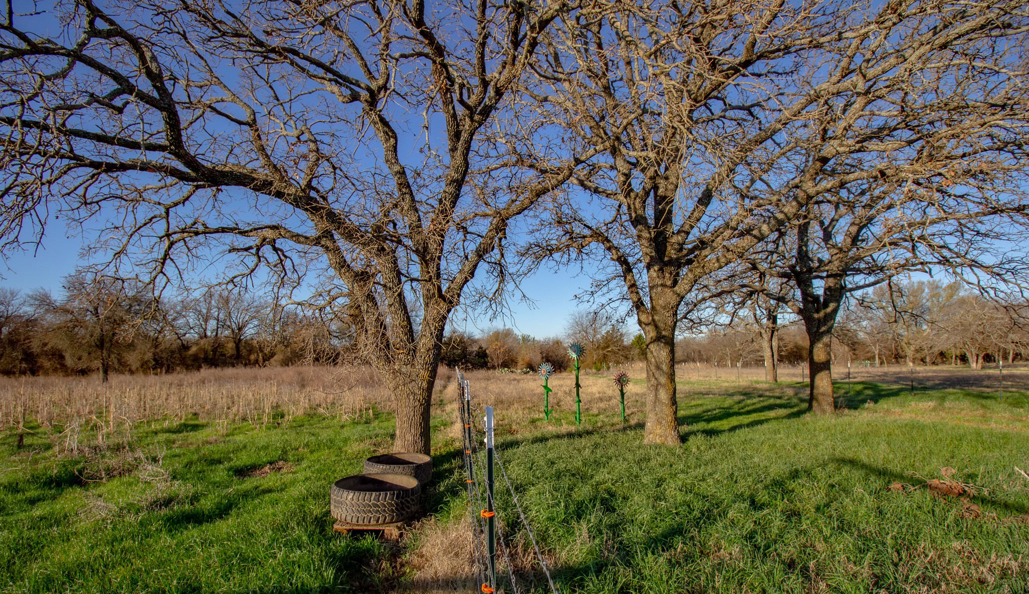 1300 Rodgers Road Rodgers Road Sunset TX 76270