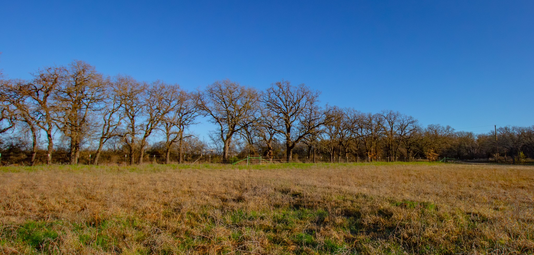 1300 Rodgers Road Rodgers Road Sunset TX 76270