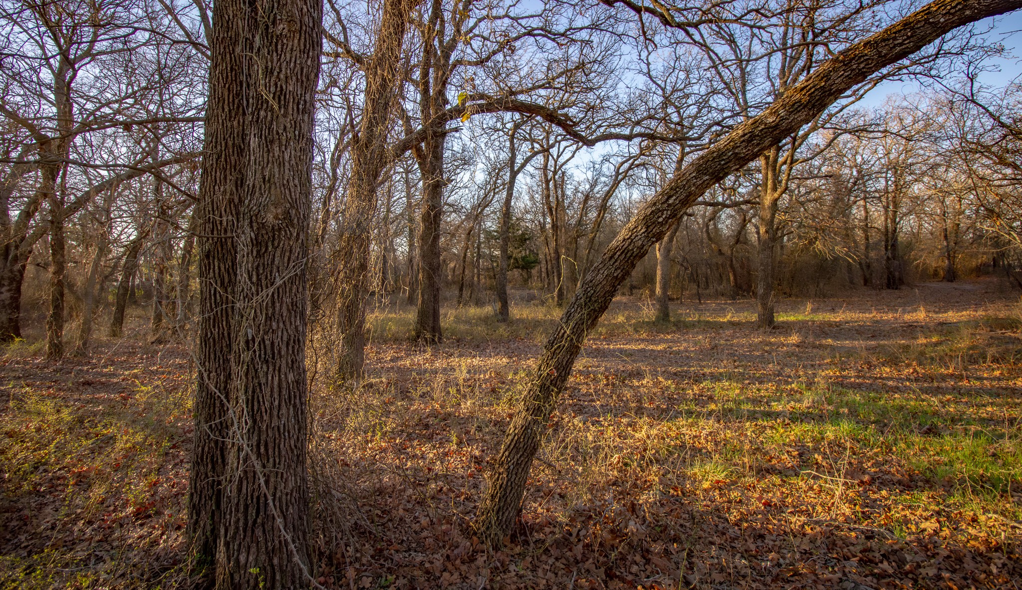 1300 Rodgers Road Rodgers Road Sunset TX 76270