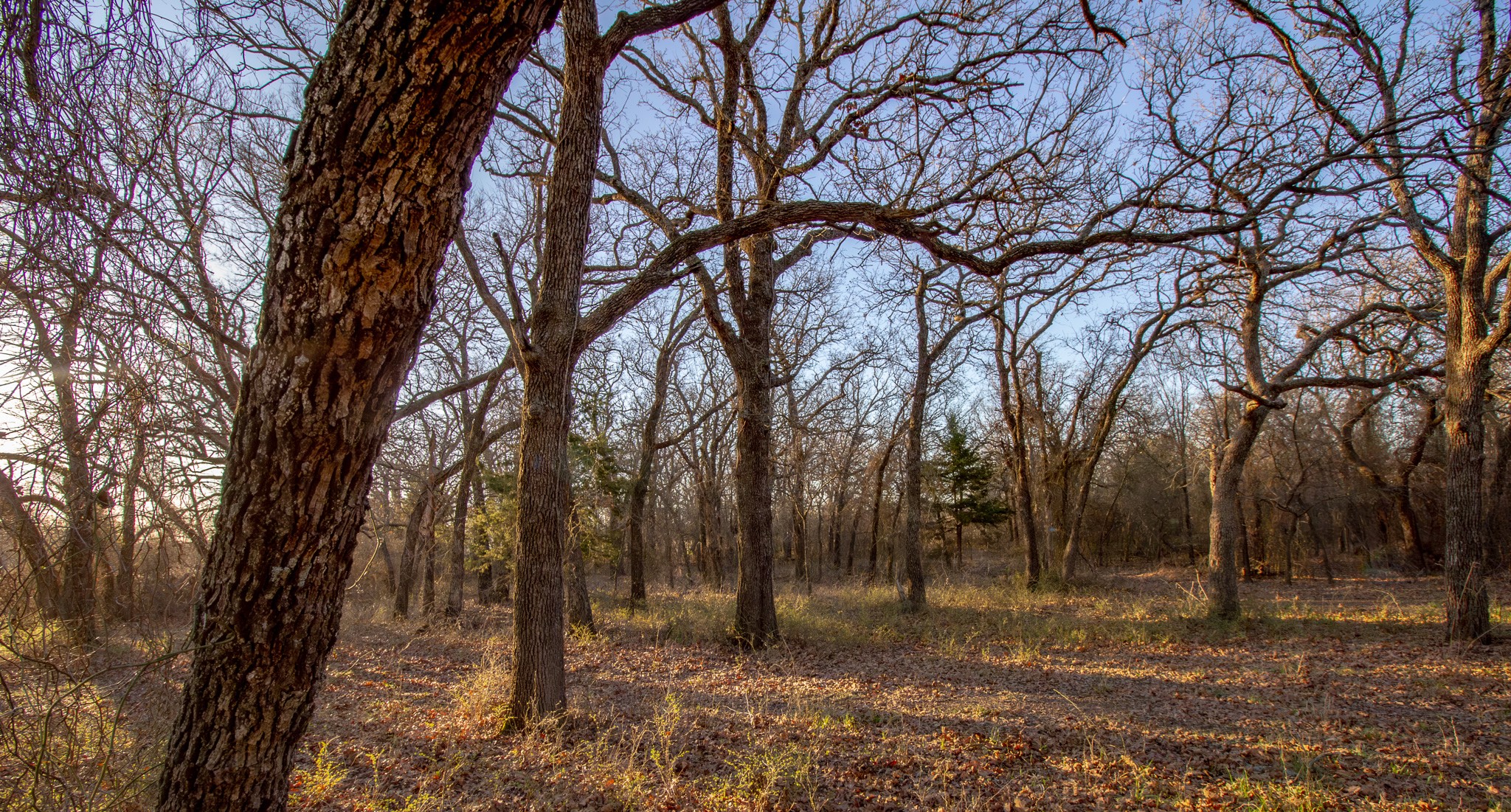 1300 Rodgers Road Rodgers Road Sunset TX 76270