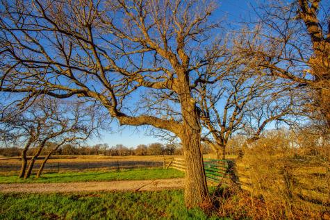 1300 Rodgers Road Rodgers Road Sunset TX 76270