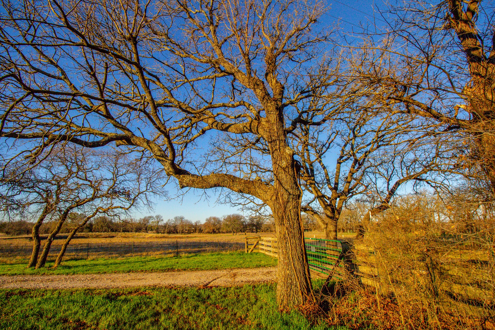 1300 Rodgers Road Rodgers Road Sunset TX 76270