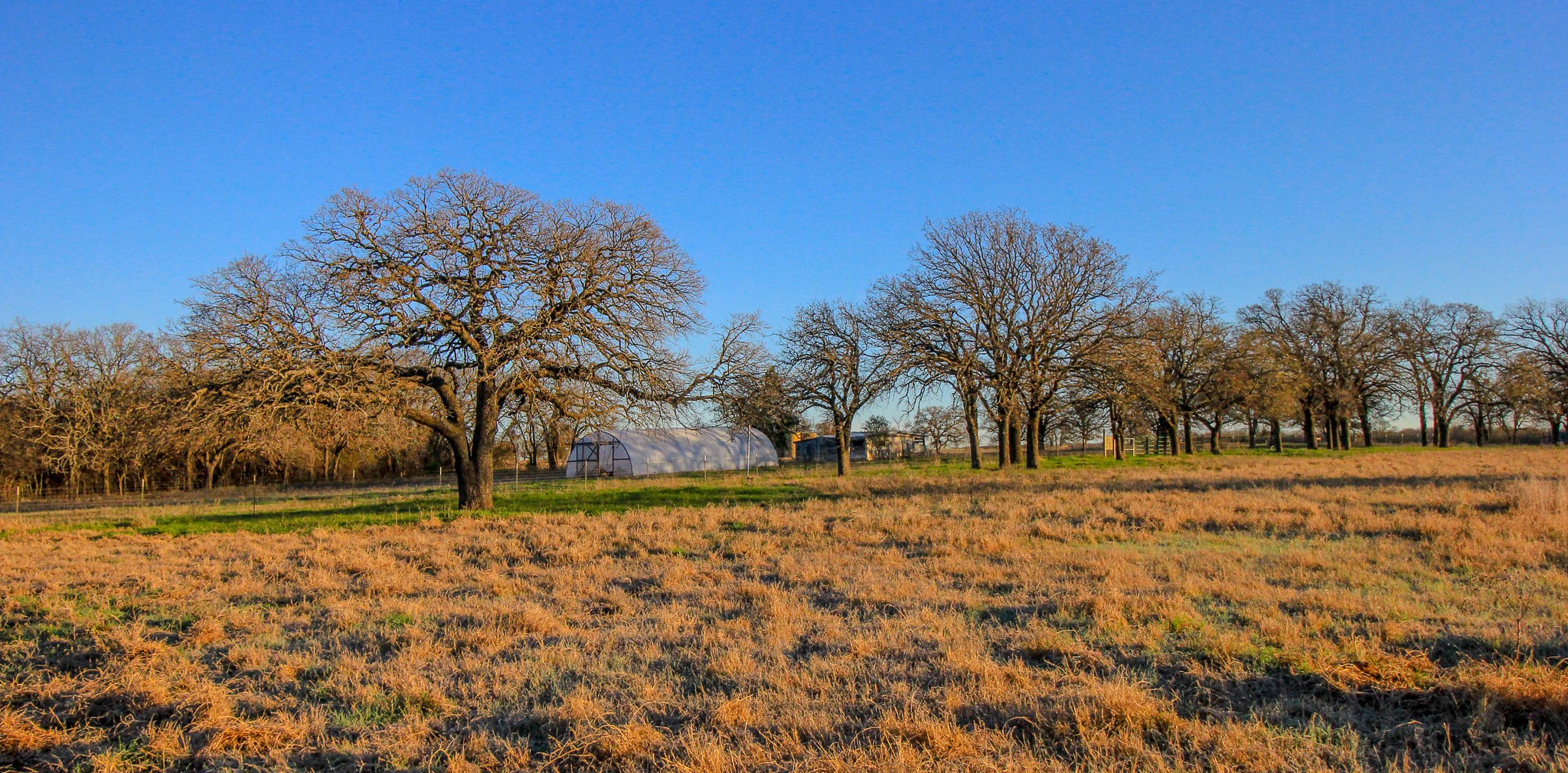 1300 Rodgers Road Rodgers Road Sunset TX 76270