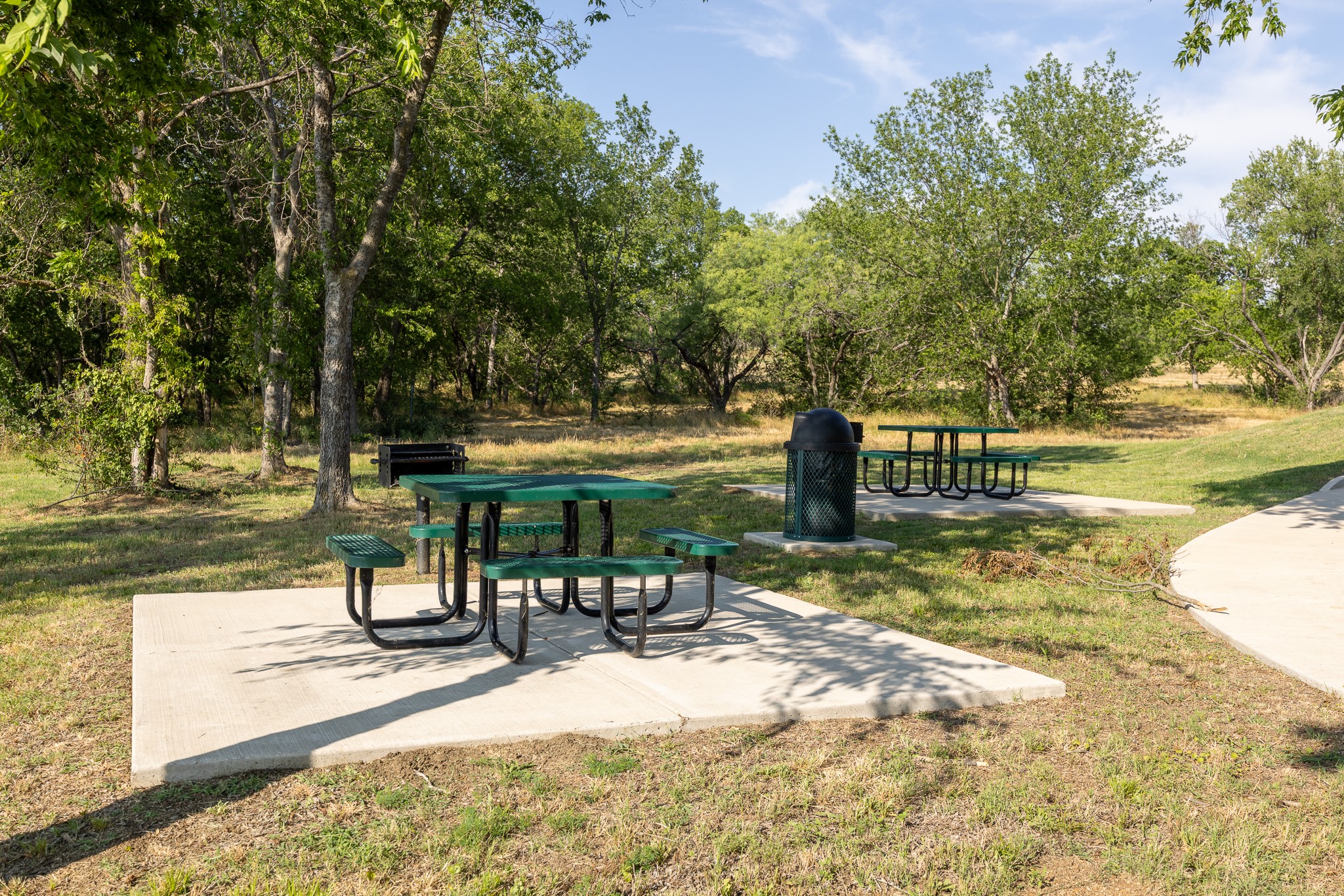 Lot 81 Diamond Point Corsicana TX 75109