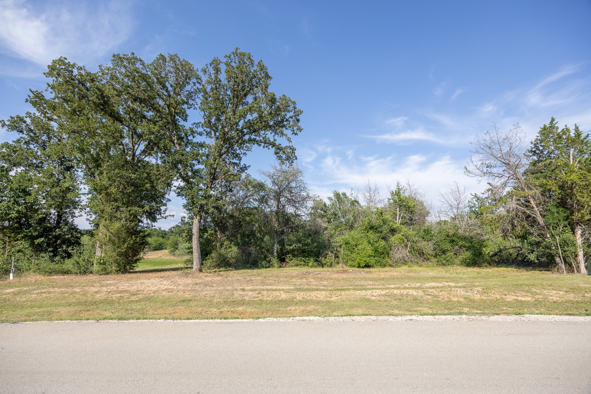 Lot 81 Diamond Point Corsicana TX 75109