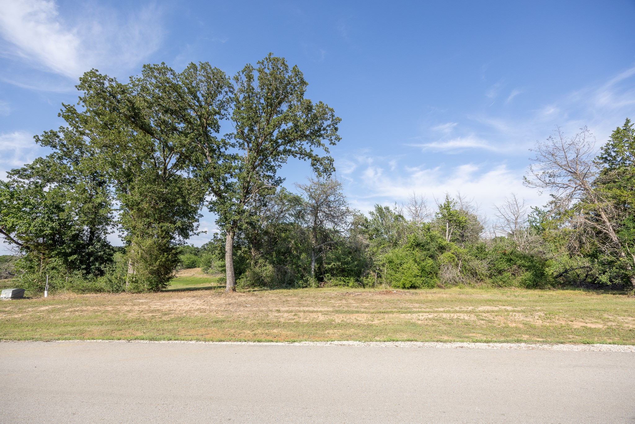 Lot 81 Diamond Point Corsicana TX 75109