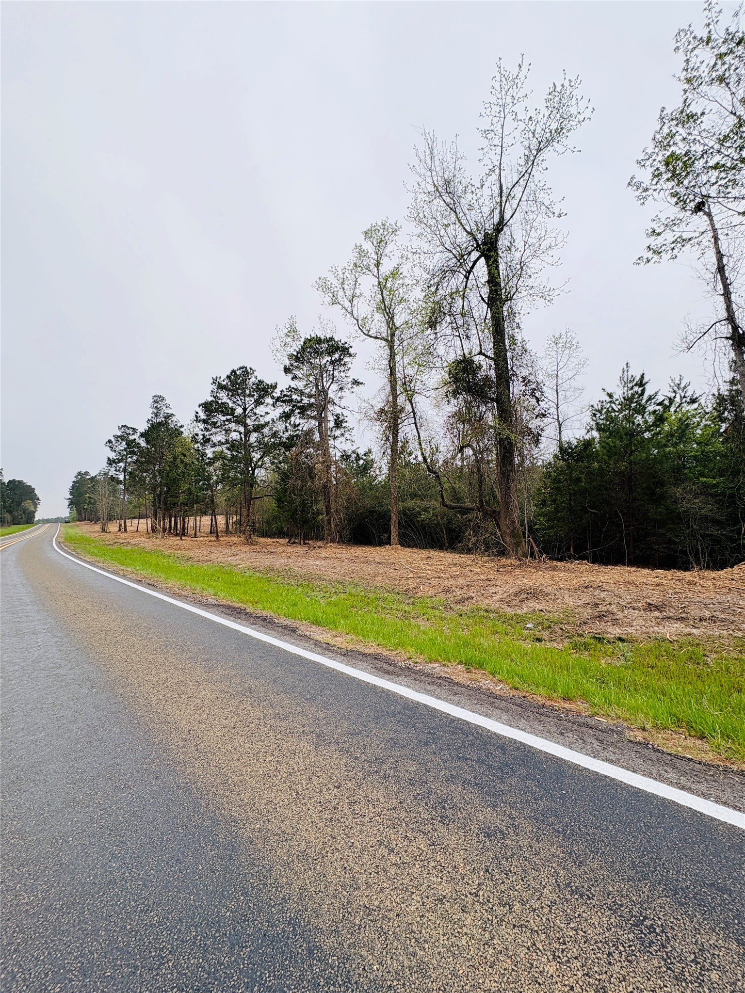 Tbd (Tract A) Fm 711 Center TX 75935