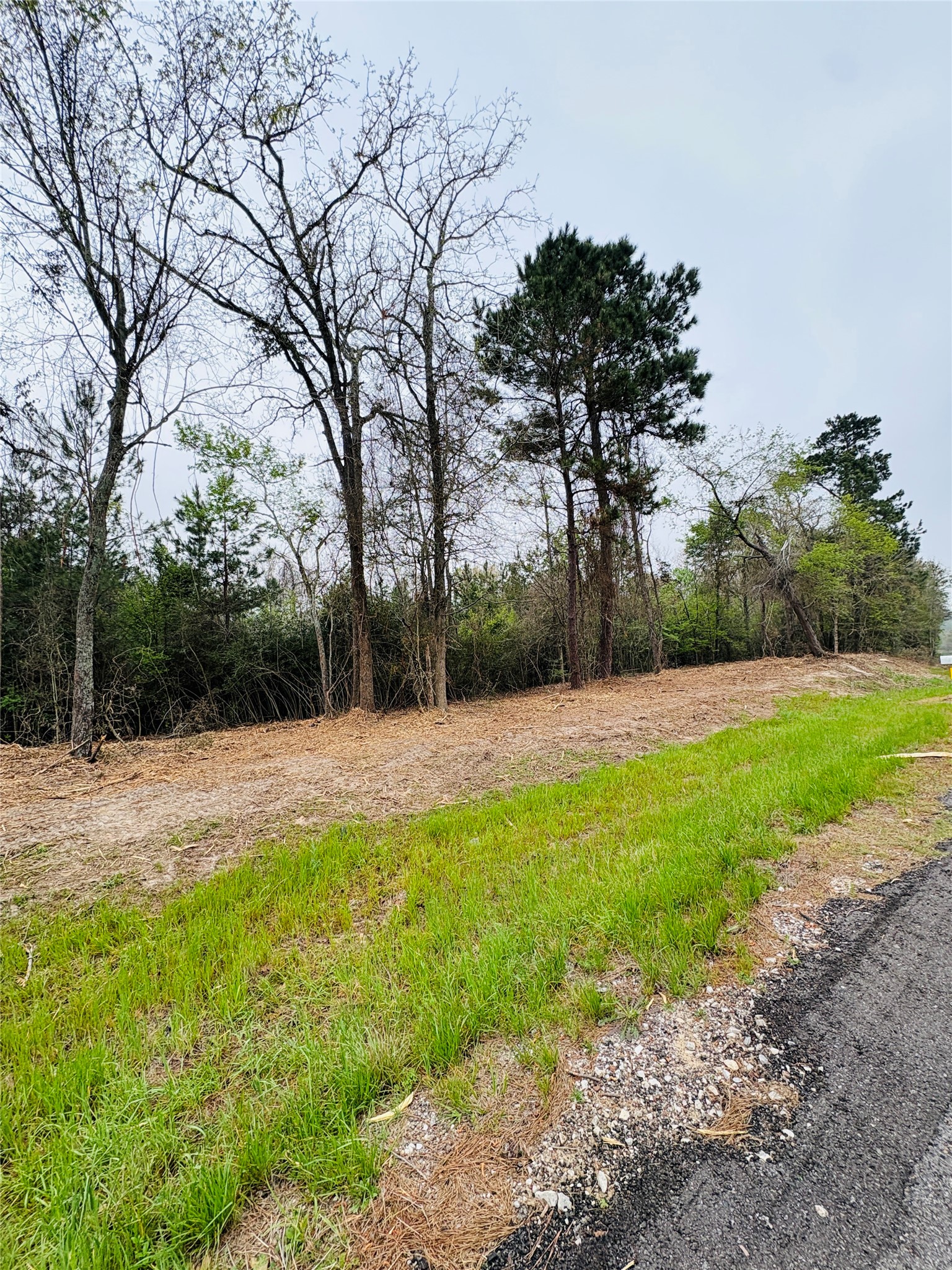 Tbd (Tract A) Fm 711 Center TX 75935