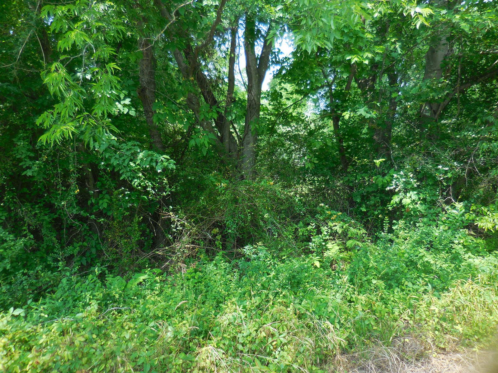 38 Acre Garrett Avenue East Tawakoni TX 75472