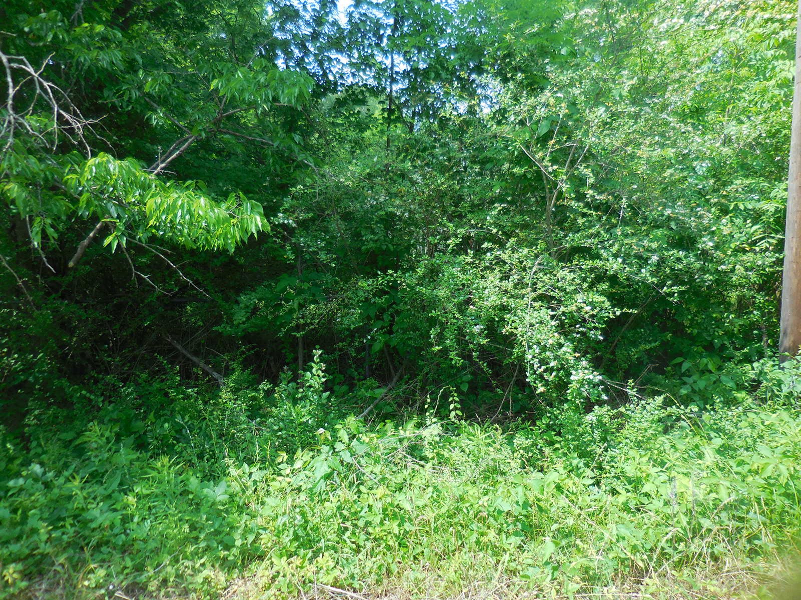 38 Acre Garrett Avenue East Tawakoni TX 75472
