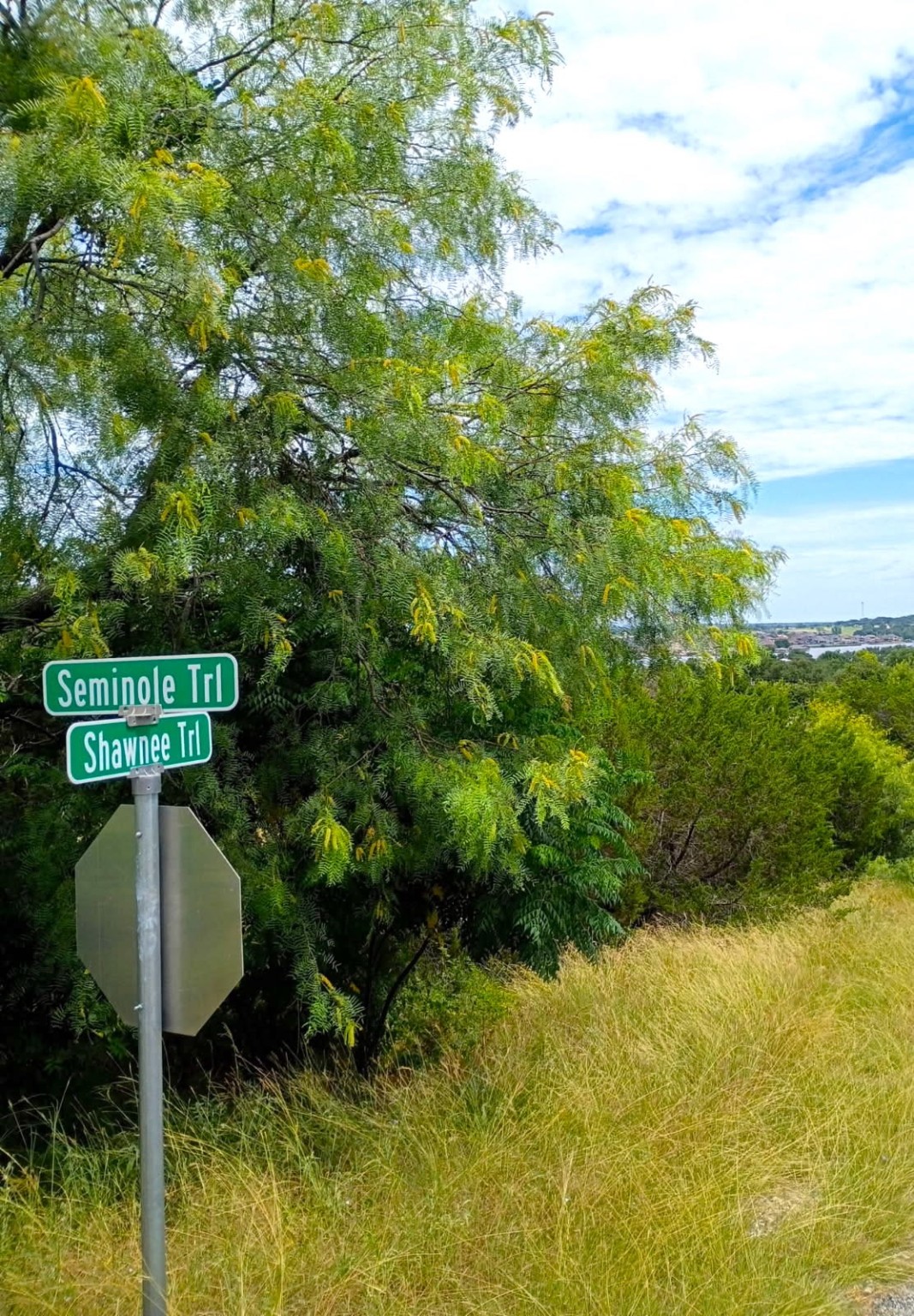 3927 Seminole Trail Granbury TX 76048