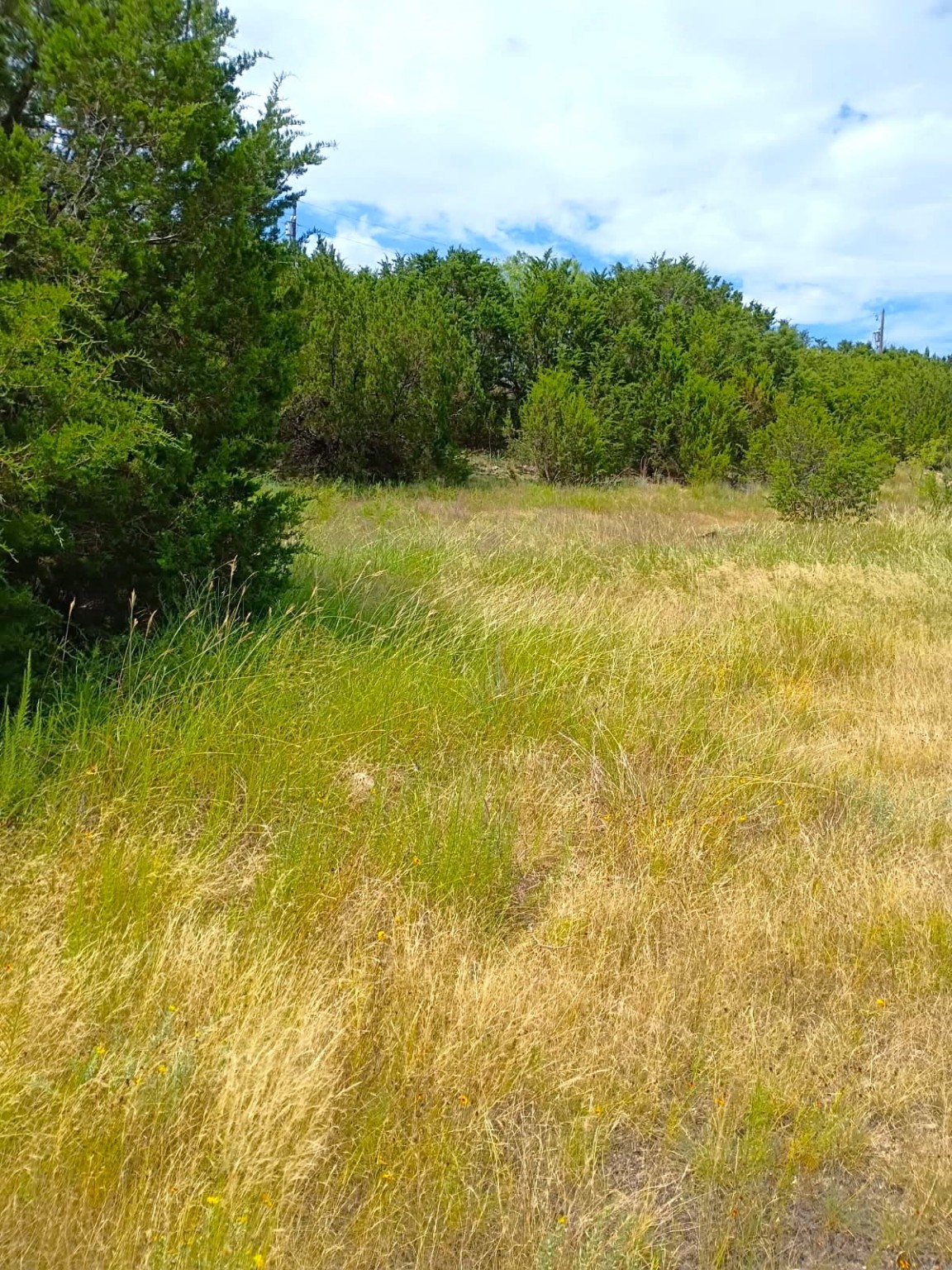 3927 Seminole Trail Granbury TX 76048