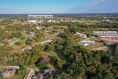 103 Wildflower Lane Teague TX 75860