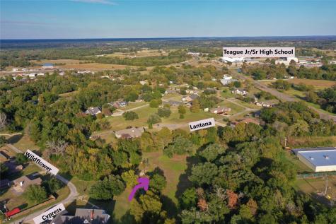 103 Wildflower Lane Teague TX 75860