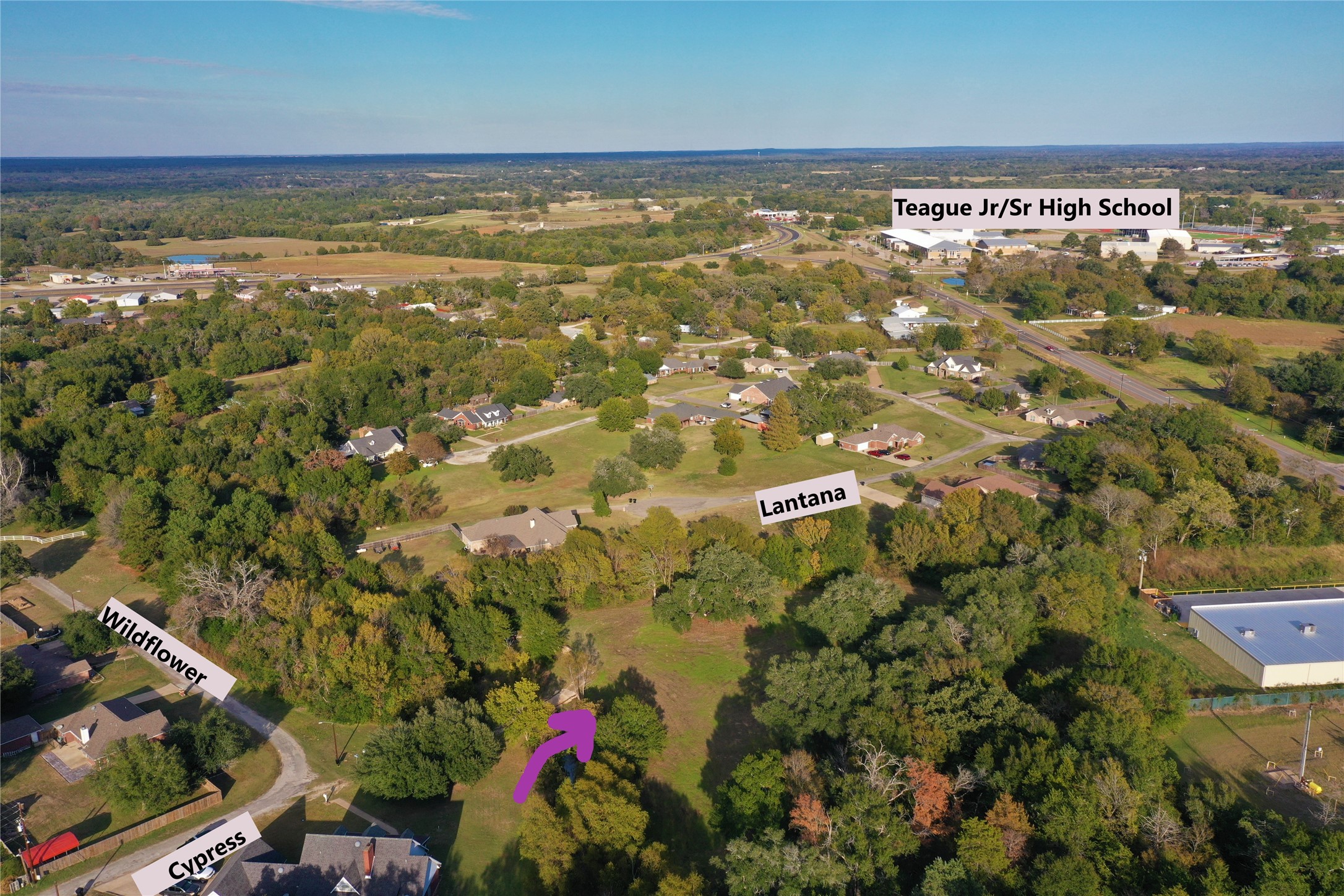 103 Wildflower Lane Teague TX 75860