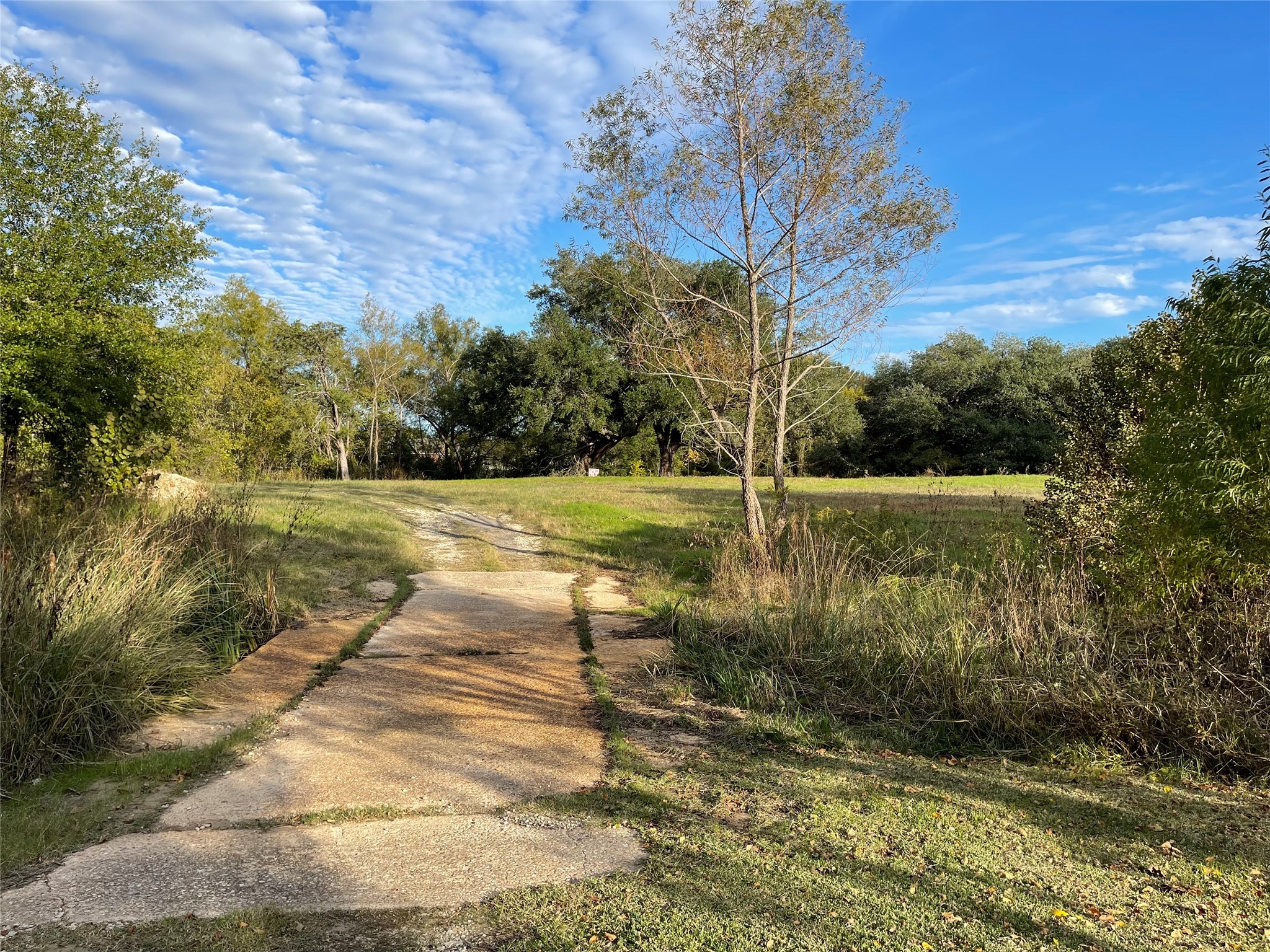 103 Wildflower Lane Teague TX 75860
