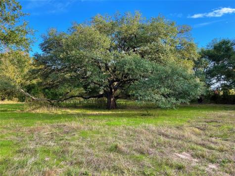 103 Wildflower Lane Teague TX 75860