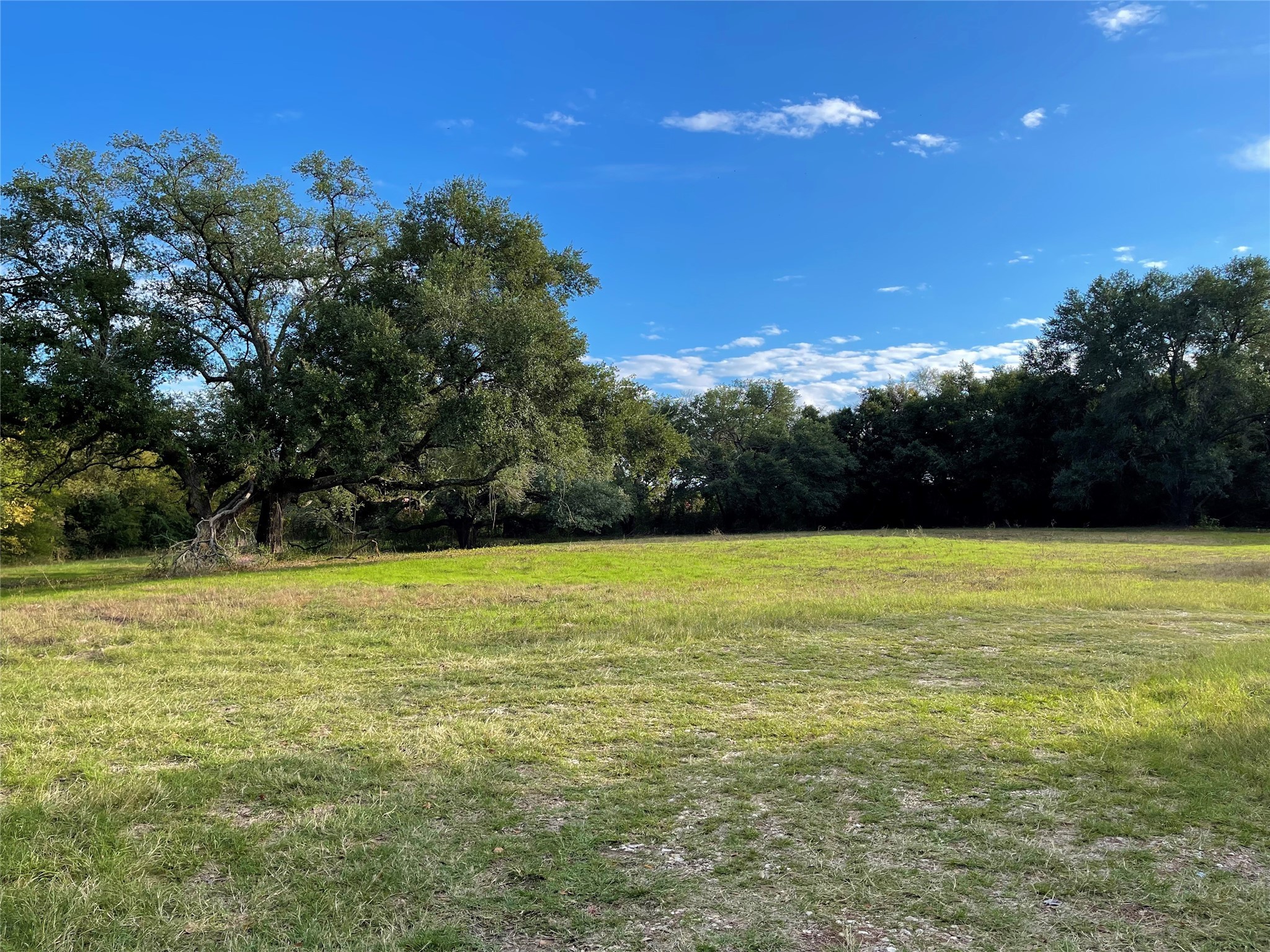103 Wildflower Lane Teague TX 75860