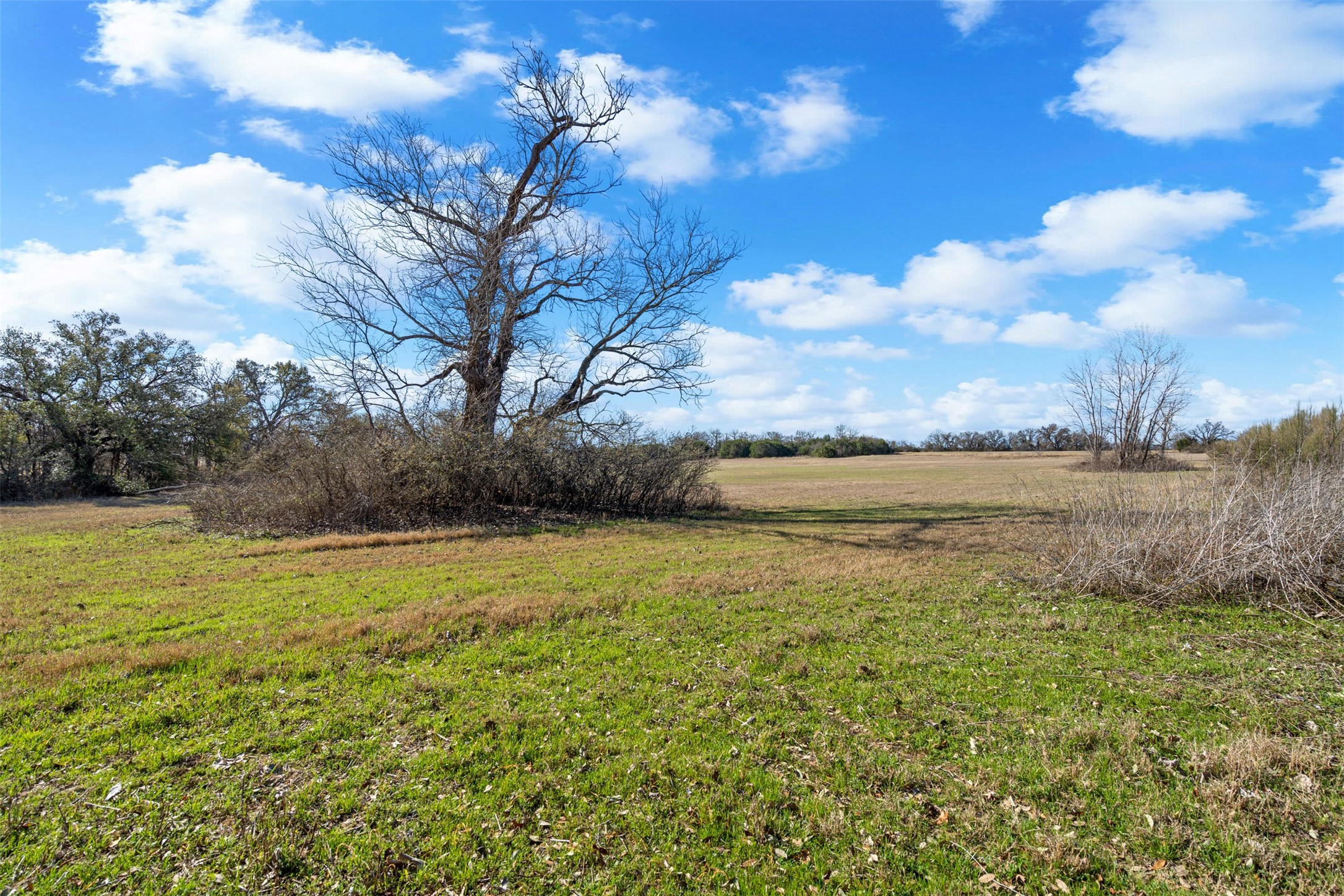 4363 Acton Highway Granbury TX 76049