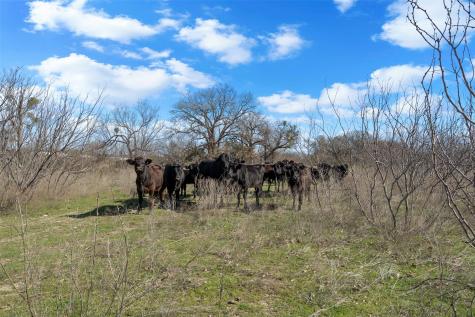 4363 Acton Highway Granbury TX 76049
