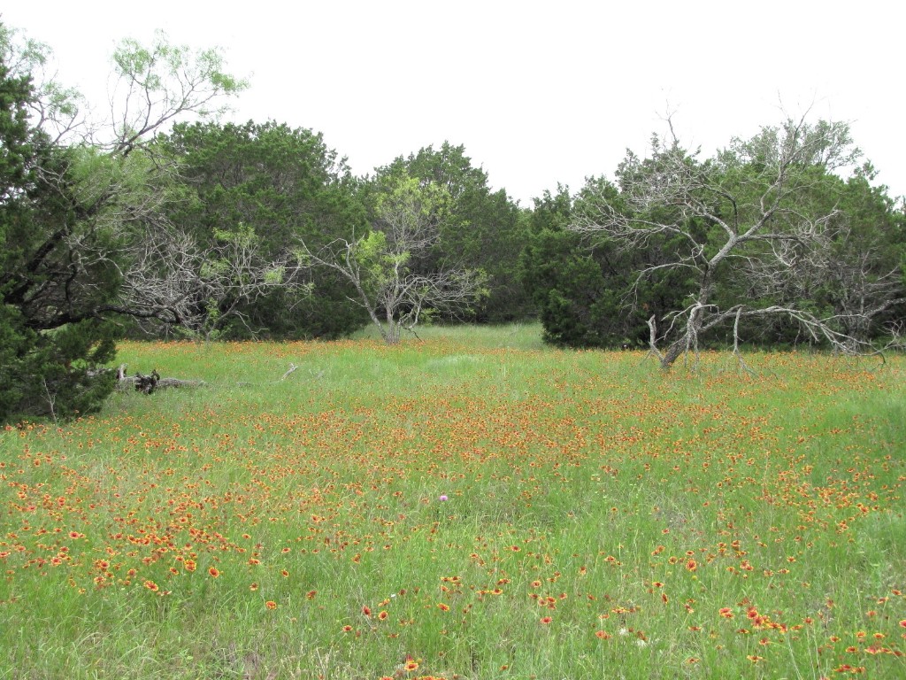 Tbd-lot 41 Pr 42107 Evant TX 76525