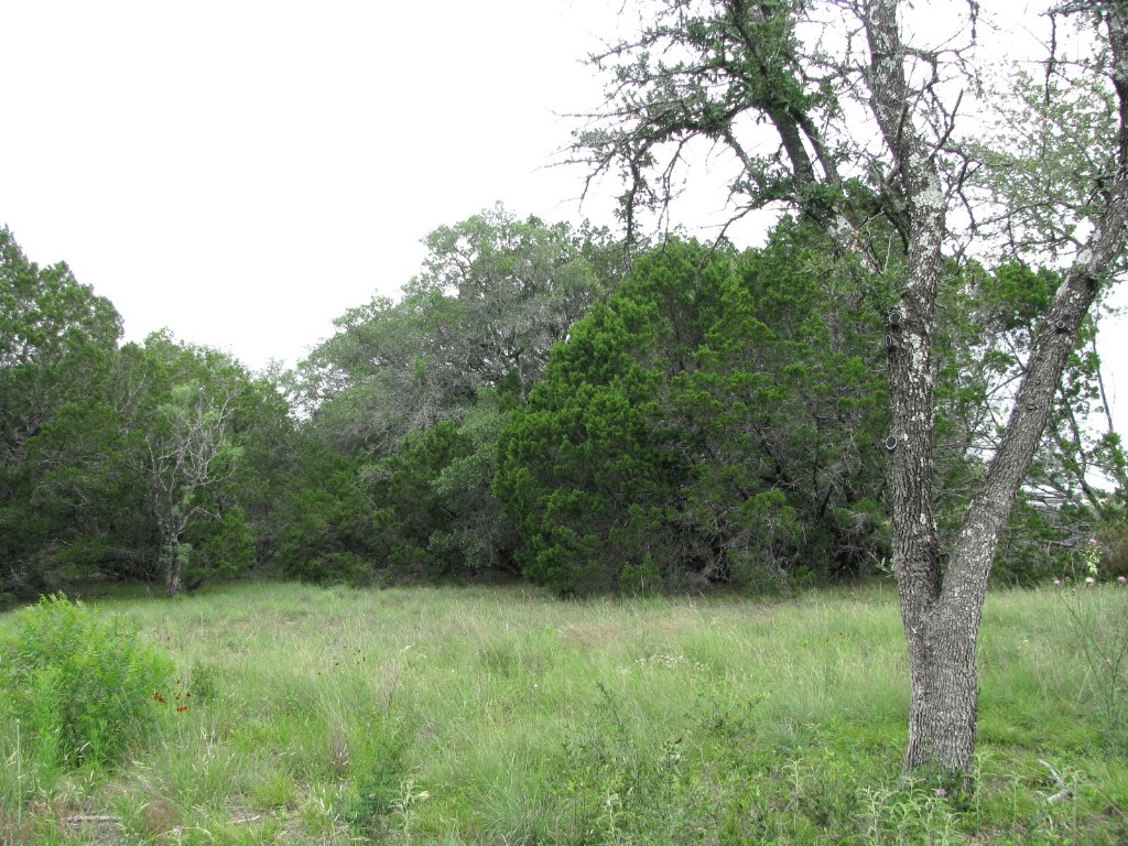 Tbd-lot 41 Pr 42107 Evant TX 76525