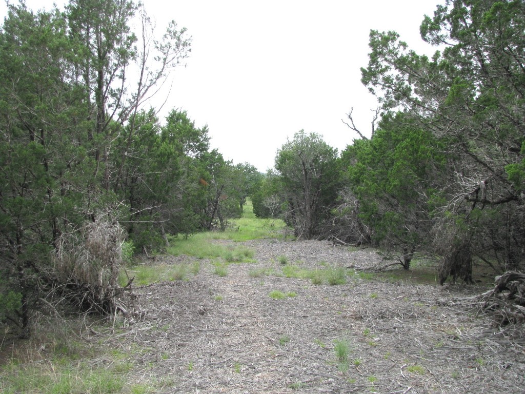 Tbd-lot 41 Pr 42107 Evant TX 76525