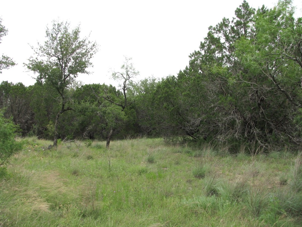 Tbd-lot 41 Pr 42107 Evant TX 76525