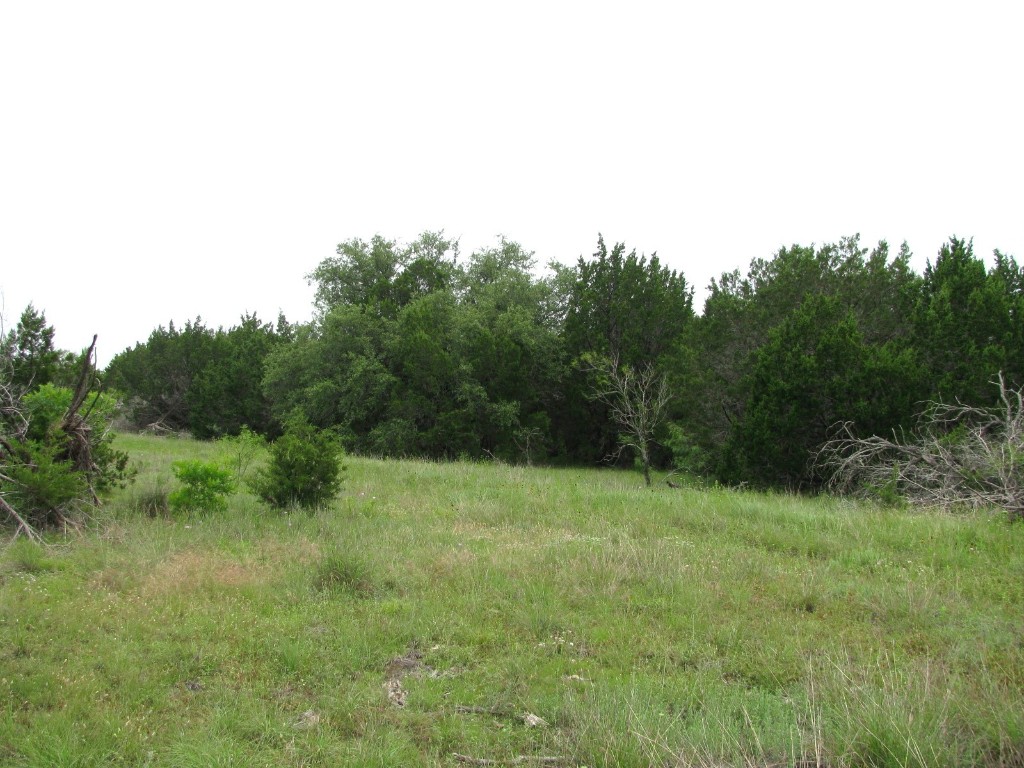 Tbd-lot 41 Pr 42107 Evant TX 76525