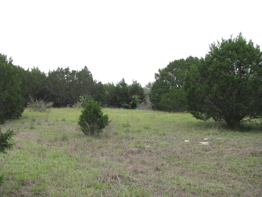 Tbd-lot 41 Pr 42107 Evant TX 76525