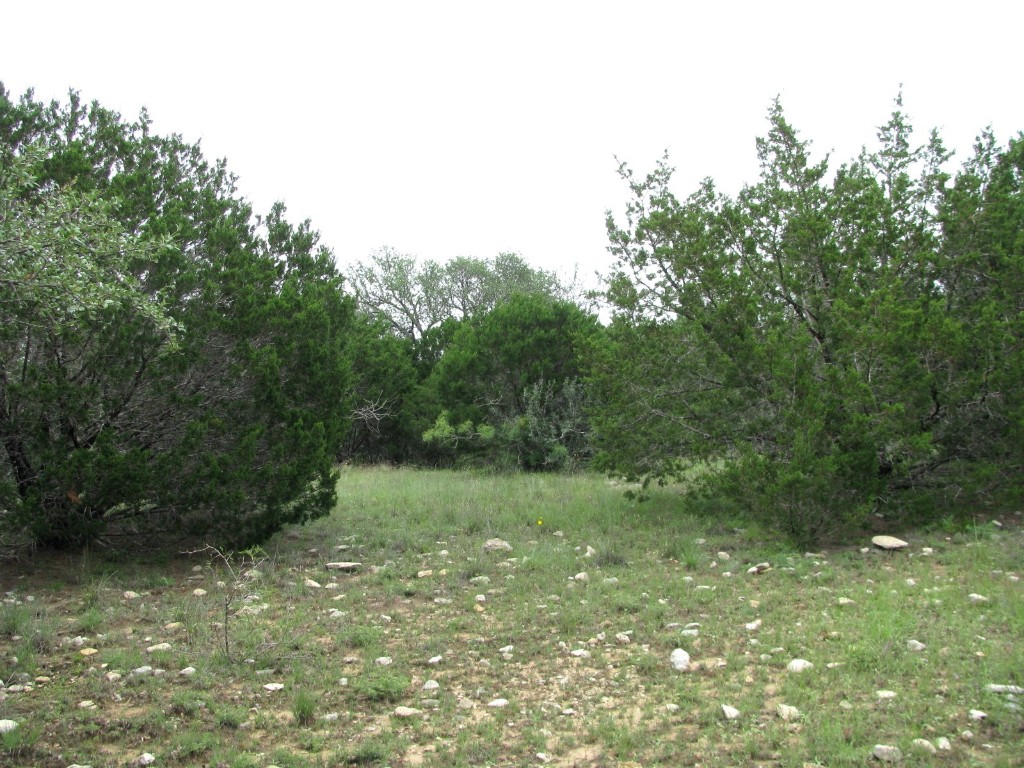 Tbd-lot 41 Pr 42107 Evant TX 76525