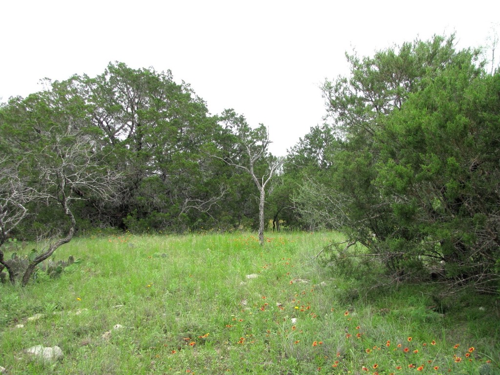 Tbd-lot 41 Pr 42107 Evant TX 76525
