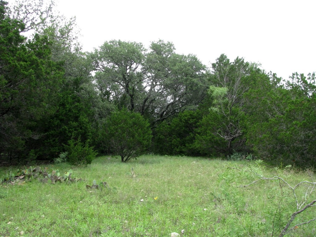 Tbd-lot 41 Pr 42107 Evant TX 76525