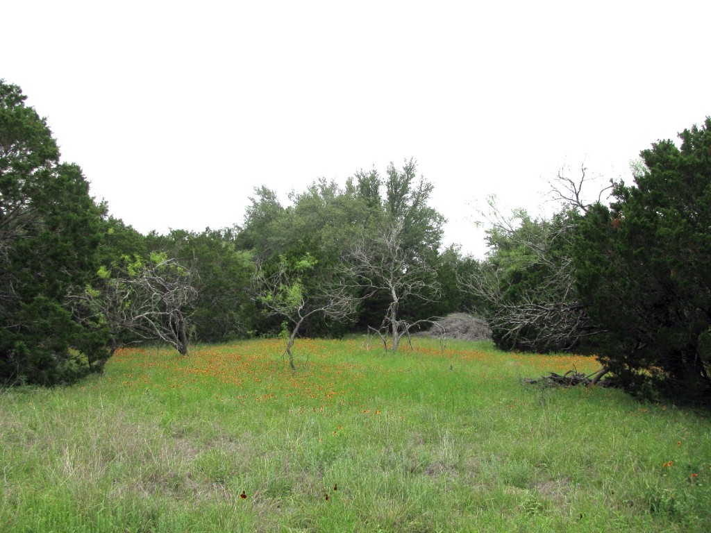 Tbd-lot 41 Pr 42107 Evant TX 76525
